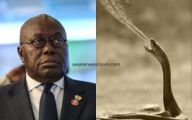 Akufo-Addo and E-levy