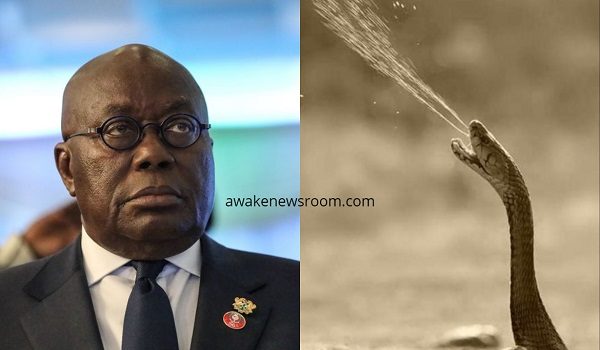 Akufo-Addo and E-levy