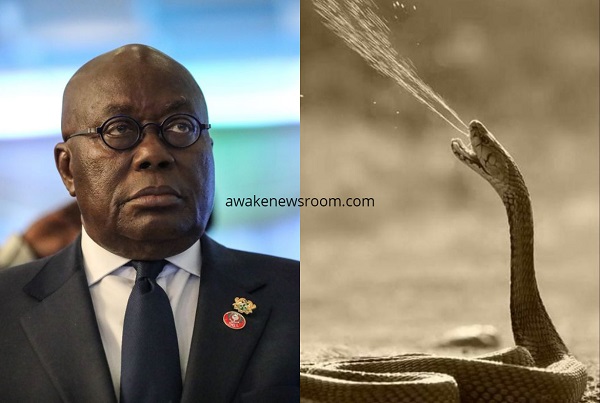Akufo-Addo and E-levy